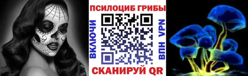 продажа наркотиков  мега зеркало  Псилоцибиновые грибы Psilocybine cubensis  Тюмень 